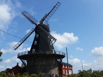 schwarze Windmühle