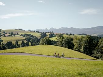 Drei Radfahrer auf E-Bikes fahren auf einer asphaltierten Straße durch grüne Hügel im Berner Oberland mit Bergen im Hintergrund.