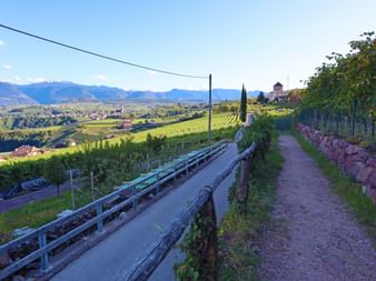 Wanderung mit Blick auf die umliegenden Weingärten und die Berge in der Ferne