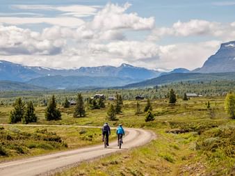 Zwei Radfahrer auf Schotterstraße durch norwegische Berglandschaft mit schneebedeckten Gipfeln, grünen Wiesen und Bäumen.