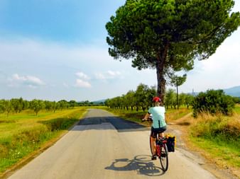 Radfahrerin in der Toskana