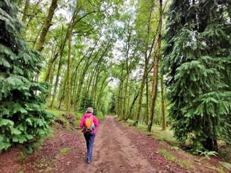 Person mit rosa Jacke und Rucksack wandert auf Waldweg umgeben von hohen Bäumen und üppiger grüner Vegetation in Peneda-Gerês.