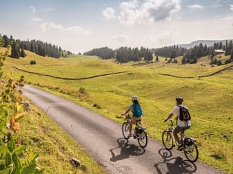 The cycle tour on the Route Verte takes you through spectacular natural landscapes.