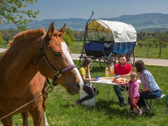 Eine Familie macht ein Picknick auf ihrer Planwagentour durch das Jura. Ein Pferd steht im Vordergrund und der Planwagen steht hinter der Familie am Wegrand.