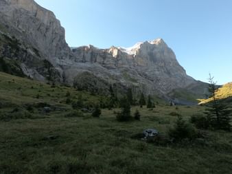 Alpental bei Meiringen mit sonnenbeschienenen Kalksteinspitzen und schattigem Talboden. Grüne Wiesen mit verstreuten Nadelbäumen im Vordergrund.