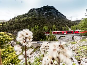 De temps en temps, les Rhaetien Railway font une apparition.
