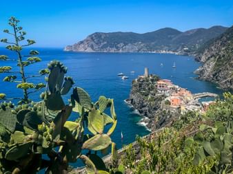 Dorf Vernazza in Cinque Terre auf felsiger Halbinsel mit bunten Häusern und Turm, eingerahmt von Agaven. Blaues Mittelmeer und Berge sichtbar.