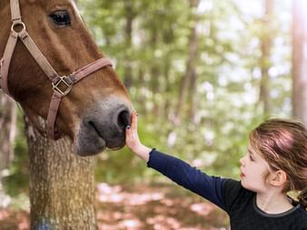 Mädchen streichelt ein Pferd in einem Wald.