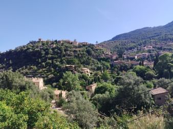 Das Dorf Valldemossa in Mallorca. Mehrere Steinhäuser umgeben von Bäumen befinden sich auf einem Hügel.