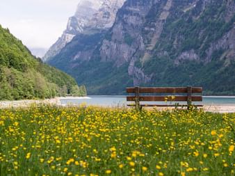 Bank auf Blumenwiese am Genfer See