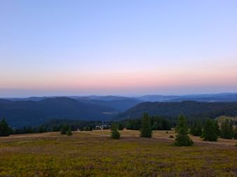 Dawn view from Feldberg with pastel sky over forested mountains. Meadow with scattered trees in foreground, rolling hills fading into distance.