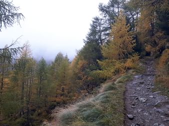 Die Bernina Tour führt durch unberührte Natur.