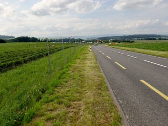 Schinnenen-Strasse mit gelben Mittellinien führt durch grüne Agrarfelder mit Metallzaunpfosten und sanften Hügeln in der Ferne.