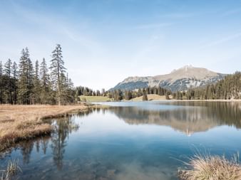 Lac de Lauenen avec eau turquoise calme reflétant montagnes et forêt. Herbe sèche au premier plan, conifères et sommets sous ciel bleu.