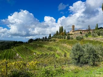 Blick über Weinberge auf die Gemeinde Greve in Chianti