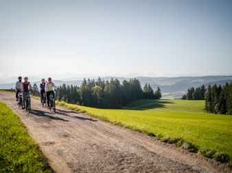 Gruppe Velofahrer in der Berner Natur