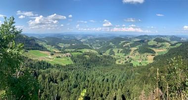 Weite Aussicht von der Jura-Höhe mit grünen Hügeln, dichten Wäldern und verstreuten Feldern unter blauem Himmel mit weißen Wolken.