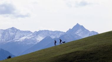 Un randonneur avec un chien. En arrière-plan, un décor de montagne à couper le souffle. Chemin des cols alpins. Vacances de randonnée avec Eurotrek.