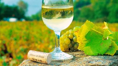 Glas Weißwein auf Steinoberfläche mit frischen grünen Trauben, Weinblättern und Korken. Unscharfe Weinberglandschaft im Hintergrund.