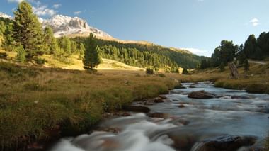 Une rivière s'écoule à travers une nature intacte avec une montagne en arrière-plan dans l'Oberland bernois.
