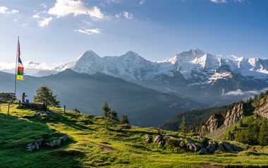 Almwiese mit Schweizer Fahne mit Blick auf schneebedeckte Gipfel des Berner Oberlands. Grünes Grasland mit Steinen und Bäumen rahmt die Aussicht.