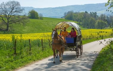 Planwagen-Shooting