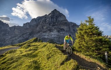 Mountain biker descending a mountain on the Grosse Scheidegg in Grindelwald.
