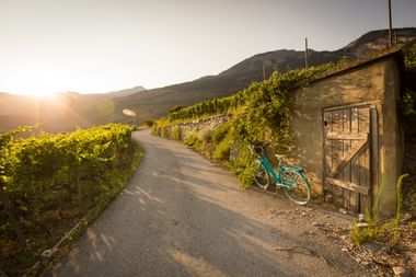 Un vélo est posé à côté d'un chemin au coucher du soleil