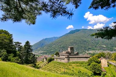 Mittelalterliche Burganlage in Bellinzona, Tessin mit Steinmauern und Turm, umgeben von terrassierten Weinbergen und grünen Bergen unter blauem Himmel.