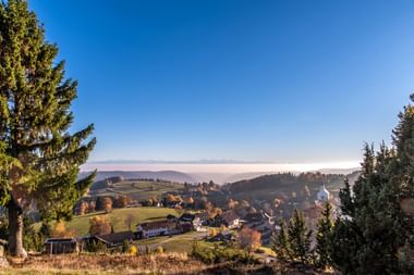 Traumhafte Aussicht im Schwarzwald