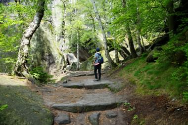 Wanderer mit Rucksack auf Waldweg mit Steinstufen beim Pfaffenstein. Moosbewachsene Felsen und grüne Bäume säumen den Weg.