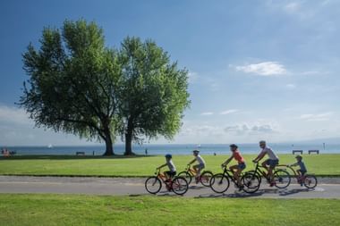 Familie mit fünf Radfahrern fährt entlang eines Uferwegs am Bodensee mit grünen Bäumen und blauem Wasser im Hintergrund.