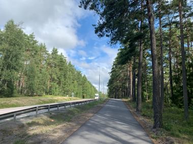 Asphaltierter Radweg parallel zu einer Autobahn, gesäumt von hohen Kiefern auf beiden Seiten unter teilweise bewölktem Himmel bei Stockholm.
