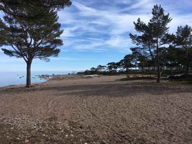 Sandstrand mit vereinzelten Nadelbäumen. Weiter hinten sind 2 kleine Boote verkehrt in den Sand gelegt.
