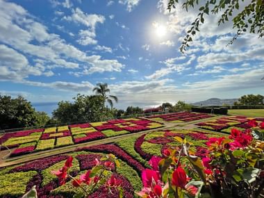 Sonnenstrahlen beim Wandern auf Madeira
