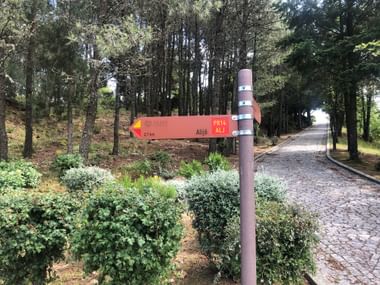 Orangefarbener Wegweiser nach Alijó auf der Wanderroute PR14, an einem Pfahl neben einem Kopfsteinpflasterweg mit Bäumen und grünen Büschen.