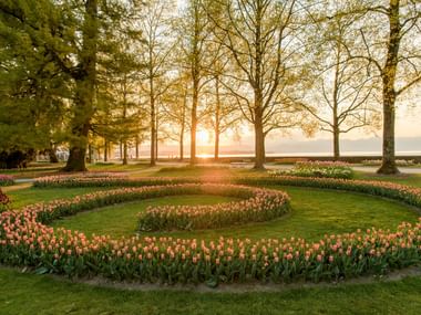Tulpenbeete bei Sonnenuntergang im Parc de l’Indépendance in Morges