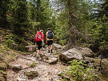Entre les gorges de la Massa et la Riederfurka s'étend la forêt d'Aletsch. Deux randonneurs avec sacs à dos marchant sur un sentier rocheux de montagne à travers une forêt dense dans la région d'Aletsch.