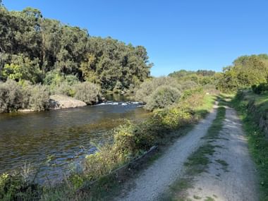 Schotterweg entlang des Rio Lima bei Arcos de Valdevez, mit dichten Bäumen am linken Flussufer und klarem blauen Himmel.