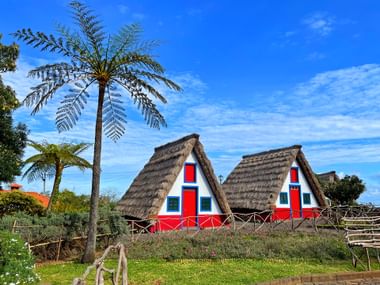 Traditionelle Hütten neben Palmen auf Madeira