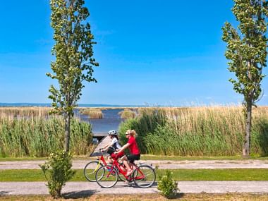 Radfahrer auf der Neusiedlersee Rundfahrt