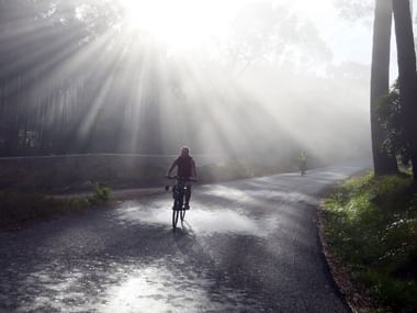 Cyclist on Sintra-Lisbon route in sunbeams Cyclist riding on wet asphalt road with dramatic sunbeams filtering through tall trees, creating atmospheric lighting on the Sintra-Lisbon route.