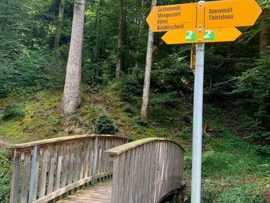 Kleine Holzbruecke und gelbe Wegweiser im Wald