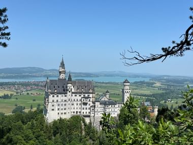 Schloss Neuschwanstein auf einem Hügel umgeben von Wald, mit grünen Feldern, einem blauen See und Bergen im Hintergrund unter klarem Himmel.