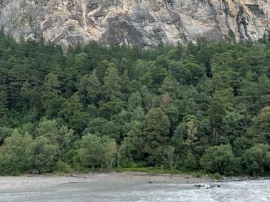 Man sieht einen Wald hinter dem Rhein mit einer massivem Felswand dahinter