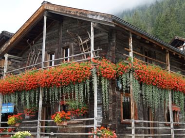 Blumengeschmückte Holzhütte in den Bergen Traditionelle Holzhütte mit verwitterter Holzfassade, geschmückt mit üppigen roten Geranien an Balkongeländern und Blumenkästen.
