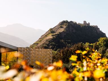 Ruines de château au sommet d'une colline rocheuse à Sion, Valais, avec des fleurs jaunes au premier plan, un bâtiment moderne à gauche et des montagnes.