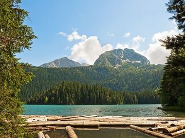 Baumstämme schwimmen im Bergsee von Montenegro zwischen 2 Tannenbäumen rechts und links. Hinten im Bild sieht man Baumwälder vor 2 Berspitzen und blauem Himmel.