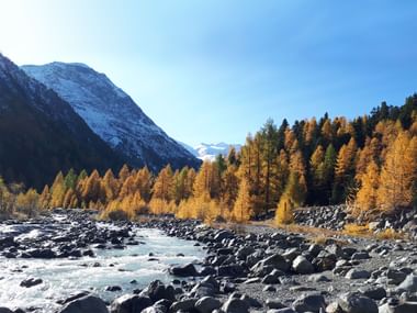 Une petite rivière s'écoule à travers un beau paysage de montagne avec des arbres orange.