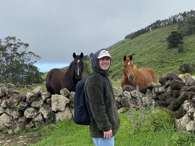 Zwei Pferde auf einer Weide auf El Hierro, die uns bei der 2. Wanderetappe begegnet sind.